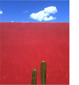 Denver Botanic Gardens