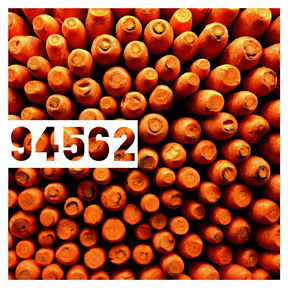 94562 Carrots iPhone Organic Show Artist Dean Allan McCready